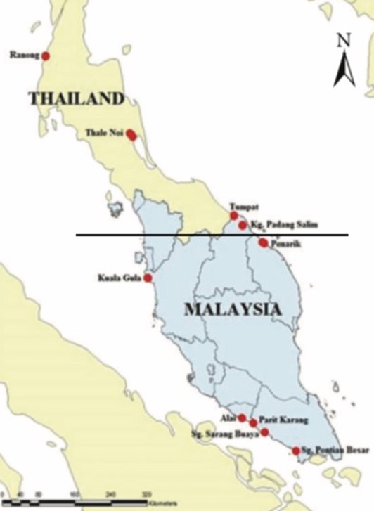 図7.コツメカワウソの亜種の提唱（Rosli et al.2014を修正） New subspecies of the small clawed otter.