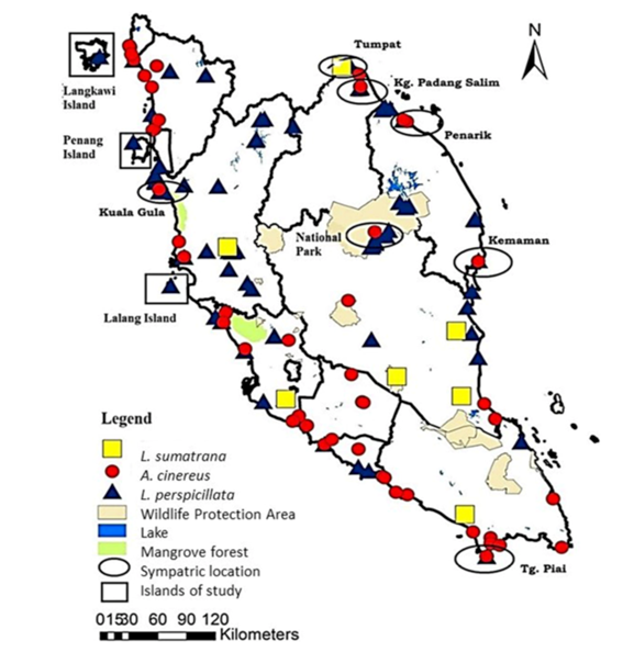 図2. 半島マレーシアのカワウソの分布（Abdul-Patah et al.2020より） Distributions of otters in Peninsular Malaysia using fecal DNA and road killed otters.